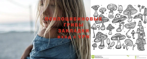 круглые Ладушкин