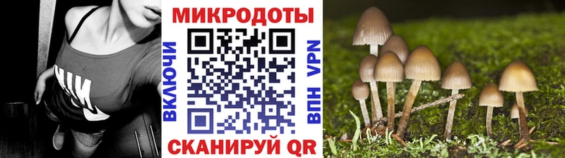 Галлюциногенные грибы GOLDEN TEACHER Малмыж